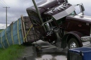 У США перекинулася вантажівка, що перевозила понад 130 мільйонів бджіл