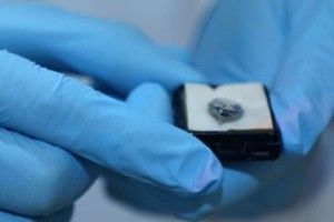 На Шрі-Ланці знайшовся рідкісний блакитний діамант, викрадений в Дубаї