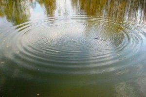 На Волині втопився чоловік, який охороняв ставки