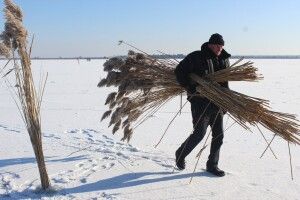 На озері Люб’язь природоохоронці рятують рибу від задухи та браконьєрів (Фото)