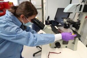 В Єгипті через коронавірус закрили на карантин 750 українських туристів