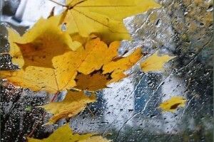 Частину України накриють дощі. На Заході буде найхолодніше