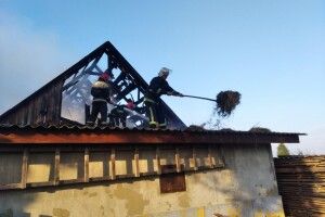 На Волині через дитячі пустощі згоріла господарська споруда з сіном і зерном (Фото)