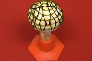 У вотчині Трампа вже й печериці виробляють електрику