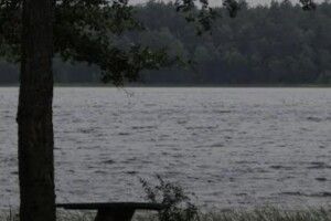 Смертельний відпочинок: жінка з Рівненщини померла від побоїв, але кримінальну справу закрили  