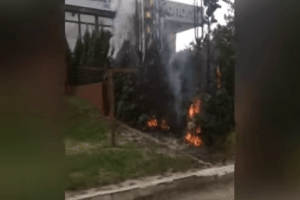 У Луцьку біля стоматклініки горіли туї