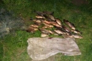 На Горохівщині виявили водобраконьєрів