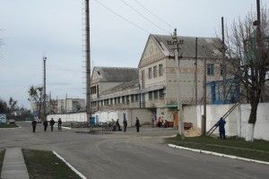 На Волині викрито злочинну групу, члени якої постачали наркотики у виправну колонію