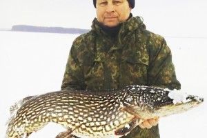 Камінь-каширець упіймав щуку вагою майже 10 кілограмів