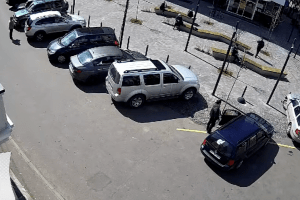 У центрі Луцька водійка наїхала на молоде дерево. Її зафіксували камери (Відео)