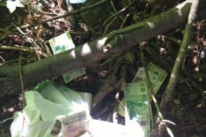 Оголосили підозру трьом гастролерам-розбійникам із Житомирщини, які у Нововолинську відібрали в чоловіка мільйон гривень (Відео)