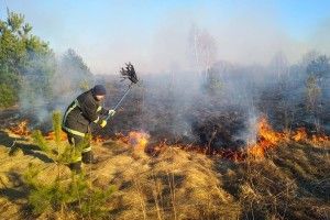Волинська пенсіонерка Людмила мало не спалила Озеро (фото)