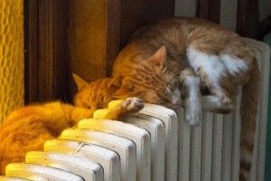 У Луцьку призупинять опалювальний сезон 