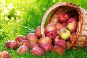 Ось така ода яблуку прозвучала з вуст дітей