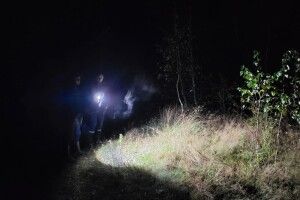 Волинянина до середини ночі шукали в лісі