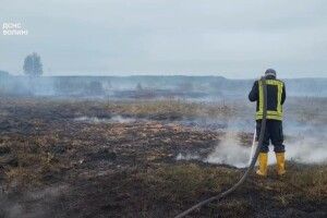 На Волині палає торфовище: вогонь поширюється під землею (Відео)