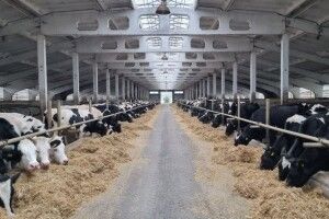 Волинське фермерське господарство отримало державну компенсацію за будівництво тваринницьких ферм