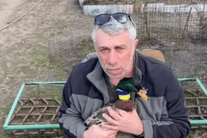 Лікар Комаровський показав українську бойову етнічну качку (Відео)