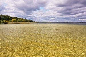 Літні дощі зробили озеро Світязь повноводним – науковці