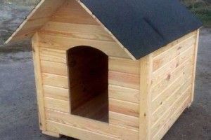 Лучан закликали озброюватися молотками та лобзиками й будувати апартаменти для Сірків, Бровків і Шариків