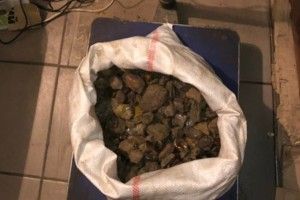 Волинські митники упередили вивезення з країни понад 9 кілограмів бурштину