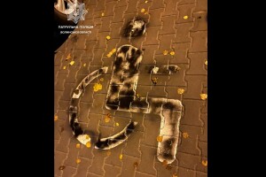 У Луцьку жінка зафарбувала чорною фарбою дорожню розмітку