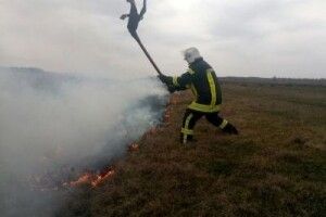 На Волині зі 141 пожежі за тиждень майже сотня трапилася в екосистемах. Відео