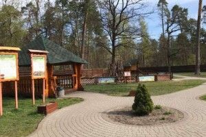 За минулий рік волинські лісівники збудували ще 22 рекреаційних пункти