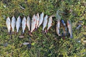 У заказнику на Волині «по гарячих слідах» затримали браконьєра