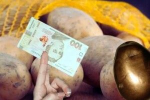 І картопля  для українців стала золотою