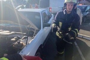 На Волині у водія під капотом машини рятували вужа