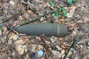 На околиці Львова під час прогулянки лісом натрапили на боєприпас (фото)