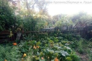 «Свободу гарбузам!»: луцькі «муніципали» взялися за самовільно загороджені «горідчики» на Мазепи, Саперів та Хурсенка (фото)