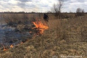 Мешканець Любомльщини відповість за спалювання сухостою