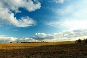 На Волині підприємство звільнило незаконно зайняту землю вартістю понад 153 мільйонів гривень 