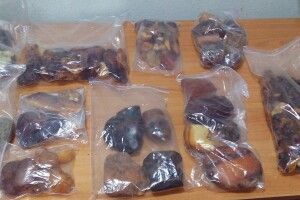 На кордоні з Білоруссю прикордонники виявили 7 кілограмів «сонячного каміння» (Фото)