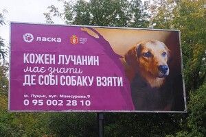Луцьк заполонила хвостата реклама (фото)