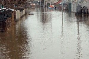Паводок на Закарпатті вигнав з осель майже півтори сотні жителів