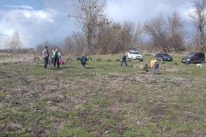 Мешканці Луцького району дружно садили сосни