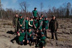 Діти виростили на території школи  20 тисяч сіянців сосни (Фото)