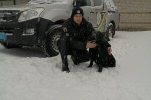 Привів поліцію до хати: на Волині собака допоміг викрити зловмисника (Фото)