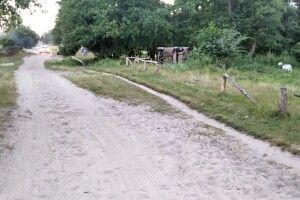 П’яним збив бабусю із двома онучками: у Вараському районі судитимуть водія
