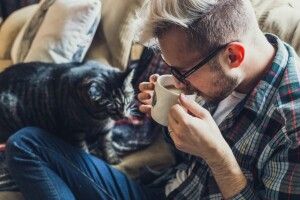 Жінок не приваблюють чоловіки, які мають котів