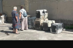 «Краще б нас перестріляли вдома»: селяни виступили проти поселення людей з-під Покровська