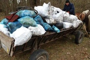 Під час екочеленджу у Турійську зібрали 5 возів сміття (Фото)