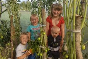 Волинська сім’я отримала теплицю за розповідь про свій міні-бізнес