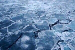 Четверо рибалок провалилися під лід, один загинув
