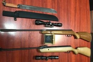 З Польщі в Україну везли гвинтівку і мачет