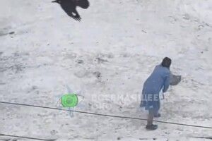 Жінка спантеличила дивним заняттям зі шваброю (Відео)
