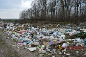 Сміття і далі викидатимуть у ліс: в Горохівському районі відмовились від 22 мільйонів гривень на будівництво сміттєзвалища